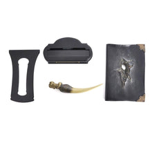Load image into Gallery viewer, Basilisk Fang and Tom Riddle's Diary by The Noble Collection