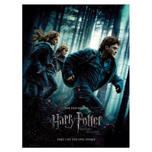 Load image into Gallery viewer, Harry Potter Poster Collection: The Definitive Movie Posters
