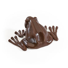 Load image into Gallery viewer, Harry Potter Chocolate Frog Replica
