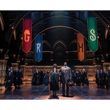 Load image into Gallery viewer, Harry Potter and the Cursed Child: The Journey: Behind the Scenes of the Award-Winning Stage Production (Hardcover)
